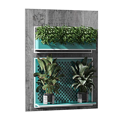 Indoor Plants in Hanging Wall 313