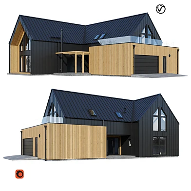 Modern house V121