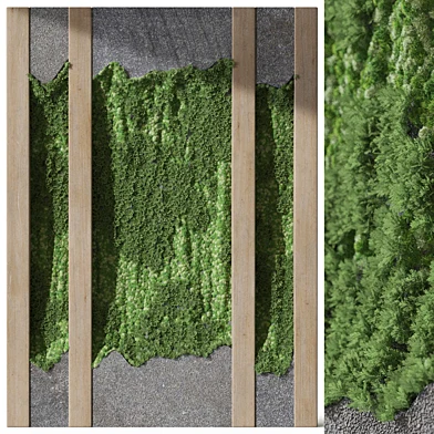 Fitowall 10