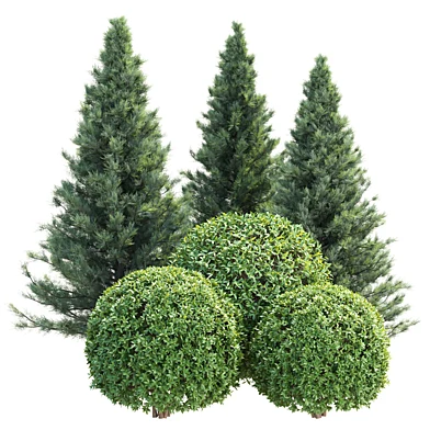 Plants for Garden Vol 308