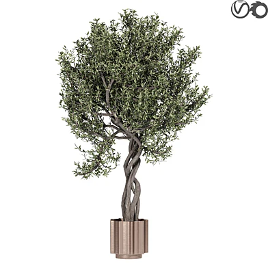 indoor plants 22