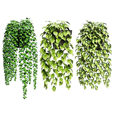 Pack Artificial Hanging Plants