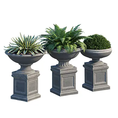 Three urn