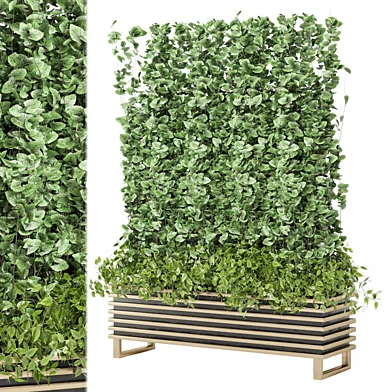 Backyard plants collection 2241