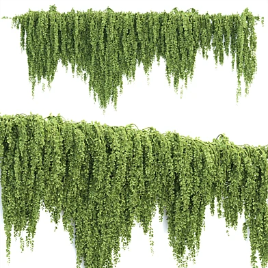 Creeper Hanging Plants Vol 318