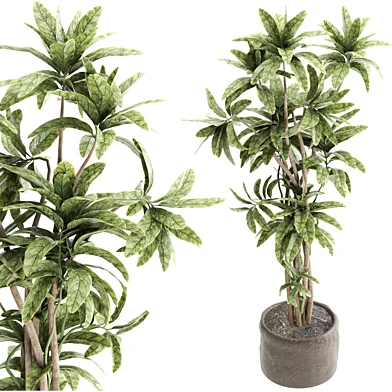 Indoor plant set 133