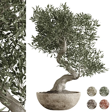 Indoor plant 082