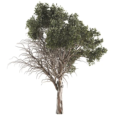 jungle tree and branches 452