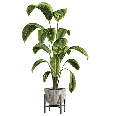Plants Set 286