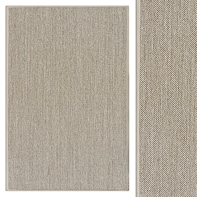 Sisal Area Rug in Ivory
