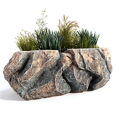 Sculpted Rock With Plants