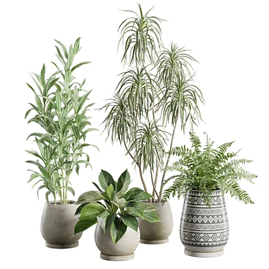 Indoor Plants Pack 104