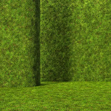 Бесшовное покрытие мха с травой, материал мох земля трава зелень ветки Seamless moss with grass, material mossy ground earth grass green branch