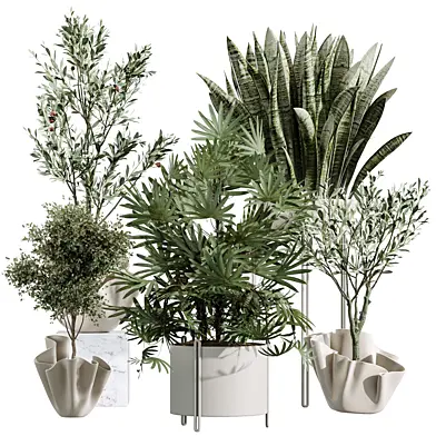 AV Indoor Plants Set 487 Lady Palm and Olive Tree and Snake Sansevieria and Chemlali Olive