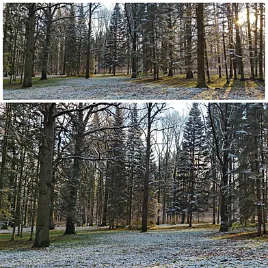 The Nature Panorama