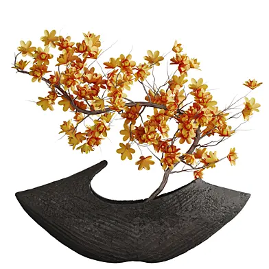 Indoor plant 0150