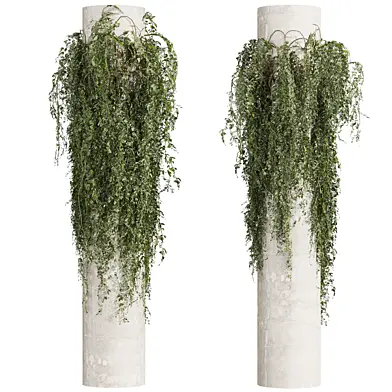 plant vol 965 - outdoor - column - fitowall - ivy
