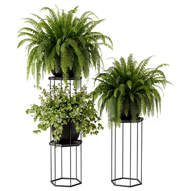 Modern Metal Plant Stand with Fern and Trailing Plant