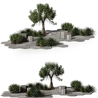 Backyard Landscape Garden Plants 452