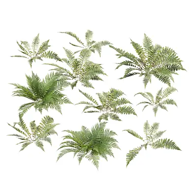 Low Poly Fern Collection Vol 375