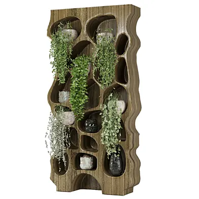 indoor hanging plants in wooden shelf 2562