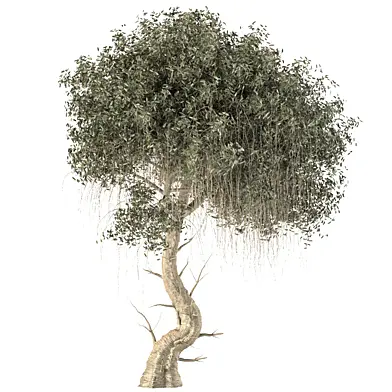 Tree 046