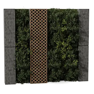 Green Wall Vertical Garden Plants 469