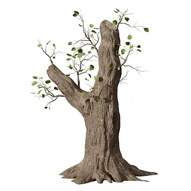 old trunk - tree set 5