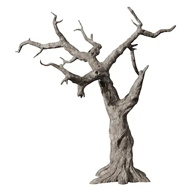 dry trunk - tree set 6