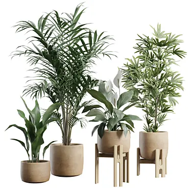 Indoor Plants Pack 109