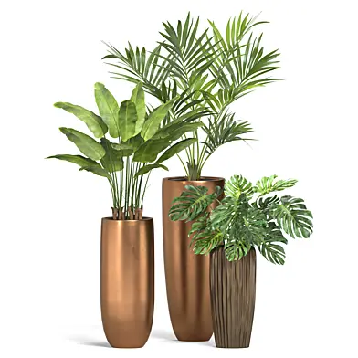 treez set 89