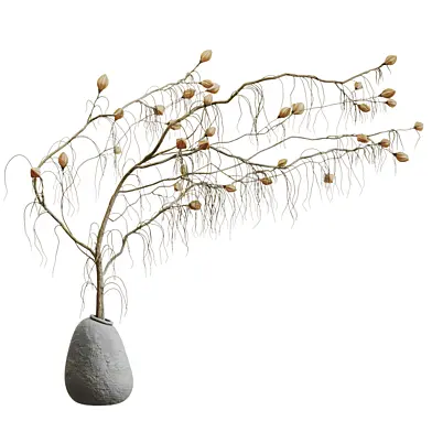 Minimal Magnolia flower Bouquet in Vase 011