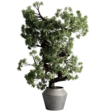 Tree Branch in a Concrete Pot - Outdoor Plants set 261