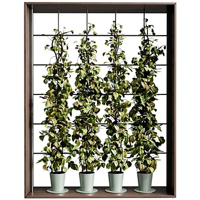 Ivy plant on Fence - Vertical Plant Wall Decor Box 139