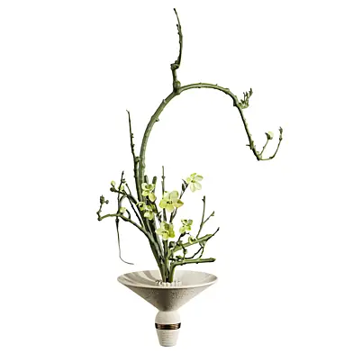 Plants Set 382