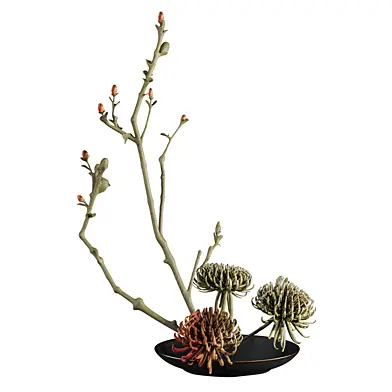 Plants Set 384