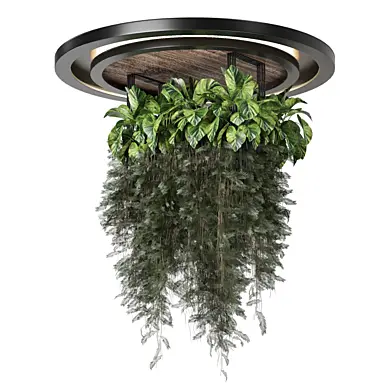outdoor hanging plants 2642