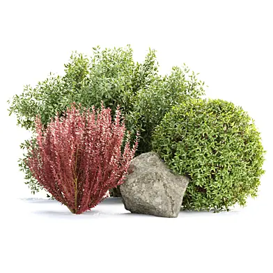 Garden Plants Set Vol 397