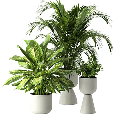 concrete pot plant set 09