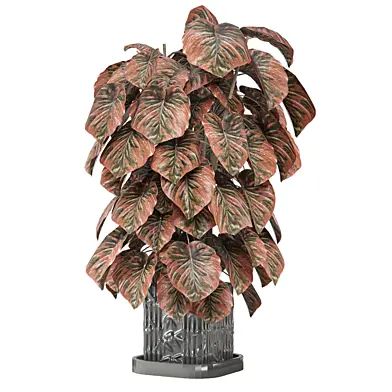 indoor Plants Collection 2618