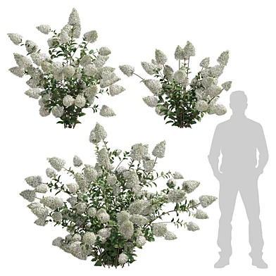 outdoor plant 002
