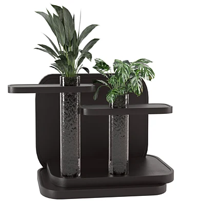 Indoor Plants Set 0184