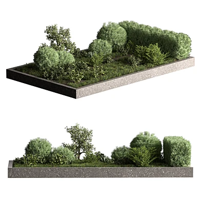 Garden Plants - Outdoor Plants 761