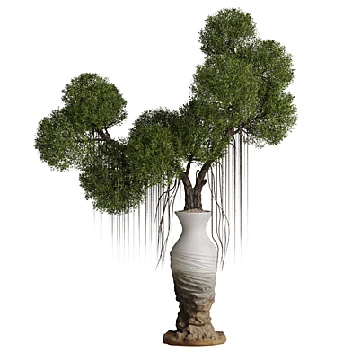 Indoorplant 156
