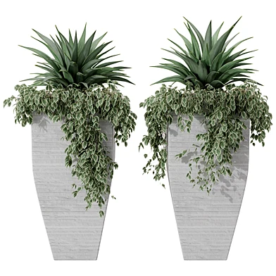 Luxury Entrance Agave and Variegated Vinca Planter Set