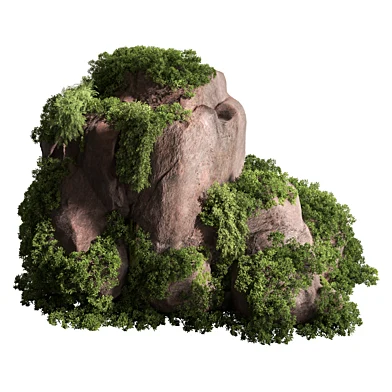 Moss on Stones 22
