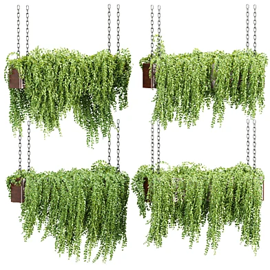 Indoor Hanging Plants 498 3D Model