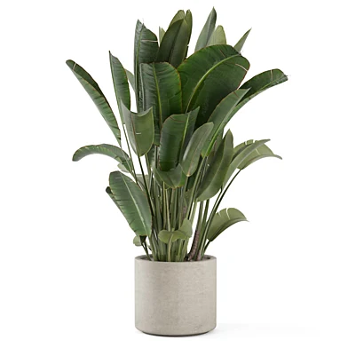 Indoor Plants Ferm Living Bau Pot Large_Set 4625