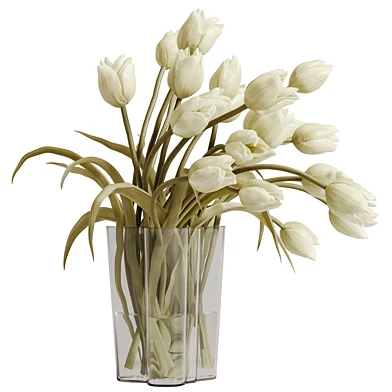 plants bouquet vase 120 White tulips
