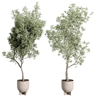 Olive Tree in a Metal pot - set indoor plant 819
